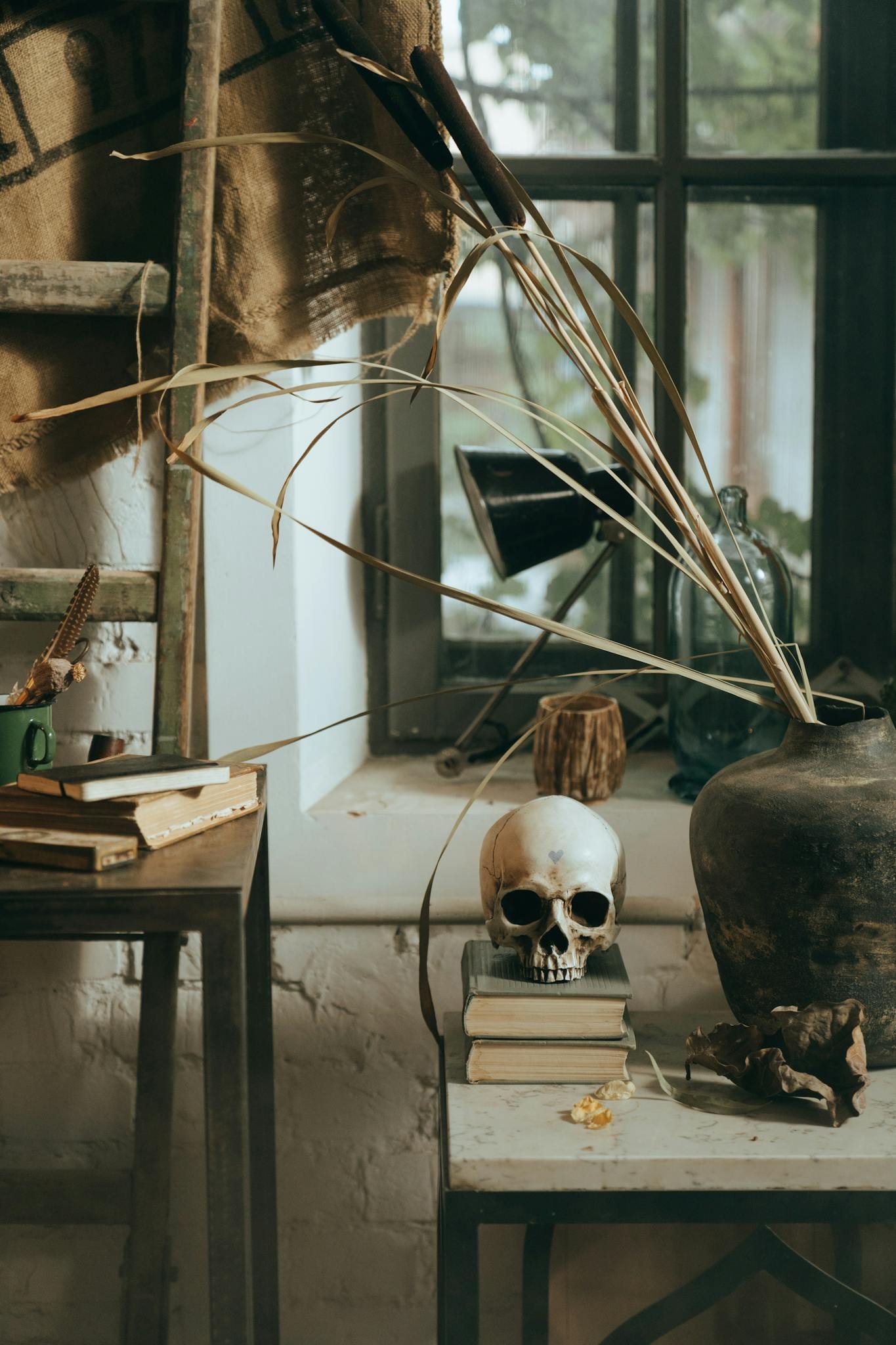 Evocative vintage still life featuring a skull, books, and dried plants by a window.